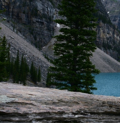 粉象生活怎么赚钱