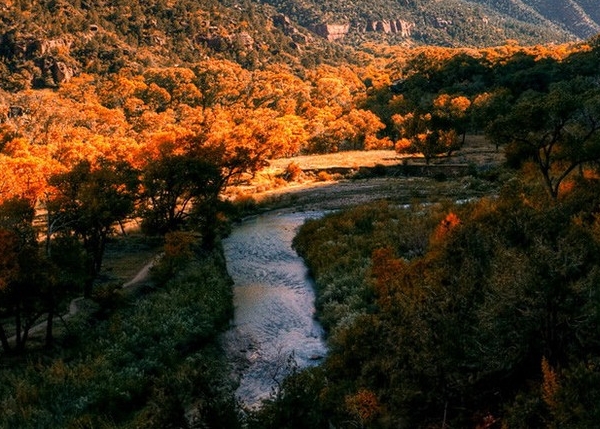 怎么在粉象生活上面开店