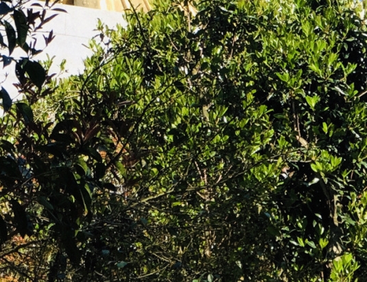 淘宝店怎么运营和推广