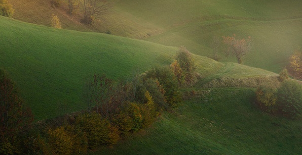 粉象生活怎么赚钱