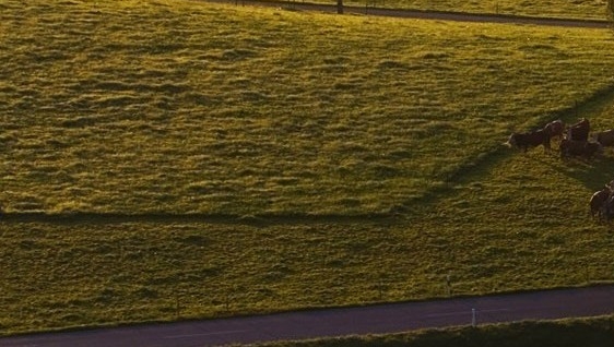 粉象生活直播吸粉的话术