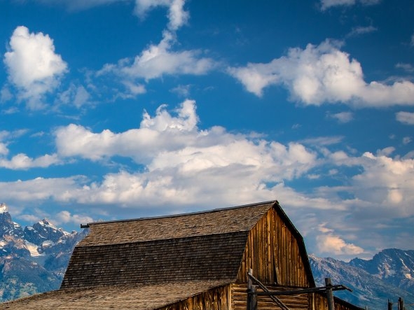 粉象生活是个什么东西