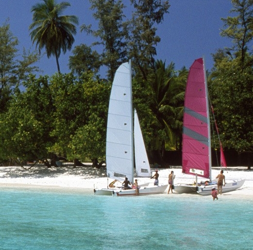 粉象生活升级条件