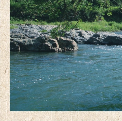 抖音本地生活服务商代理