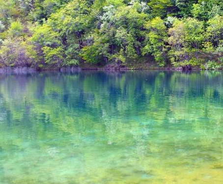 怎么算账户佣金