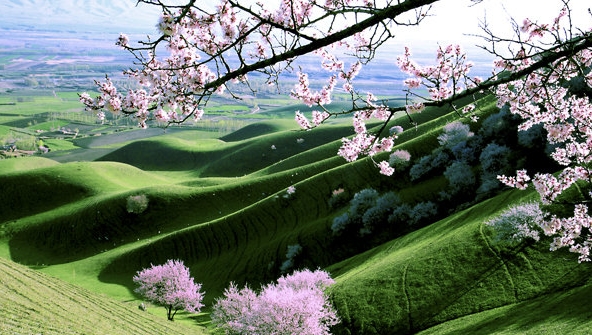 淘宝逛逛视频怎么推广的