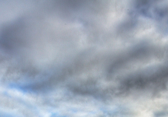 粉象生活是真的假的