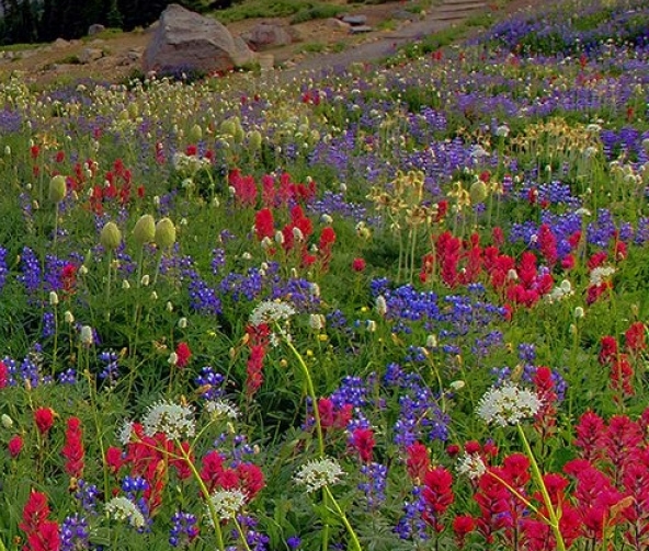 微信生活服务怎么添加