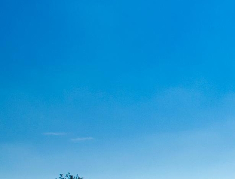 粉象生活是否合法