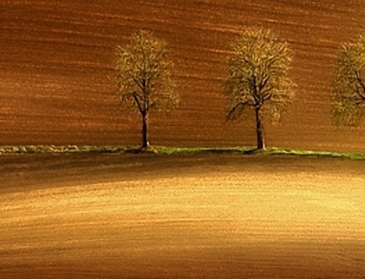 三喜生活怎么注册