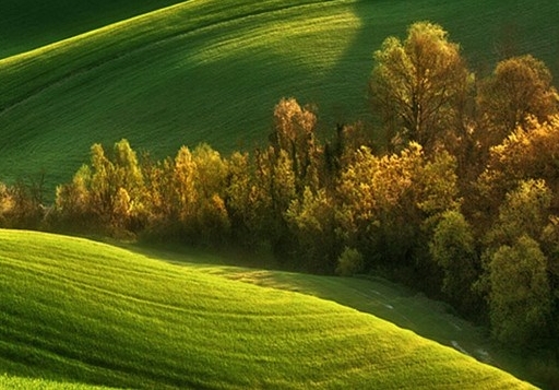 在粉象生活怎么使用