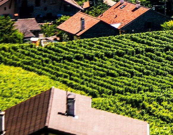 粉象生活佣金怎么开通账户