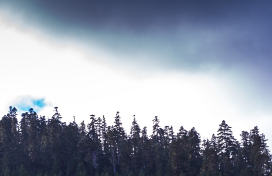 秘特生活app是干啥的