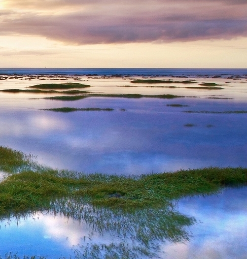 粉象生活开店的要求