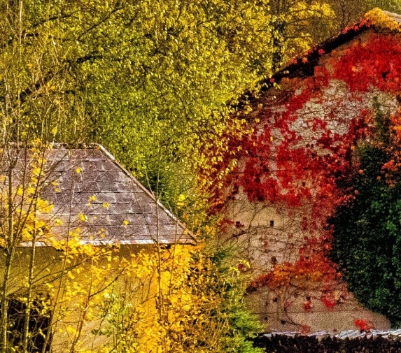 粉象生活小知识背景素材