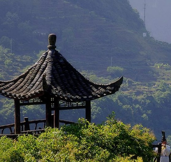 粉象生活怎么取消上级