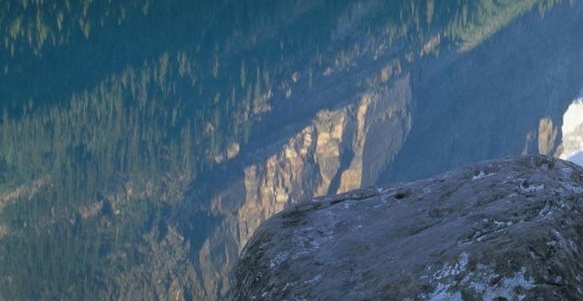 粉象生活是做什么的