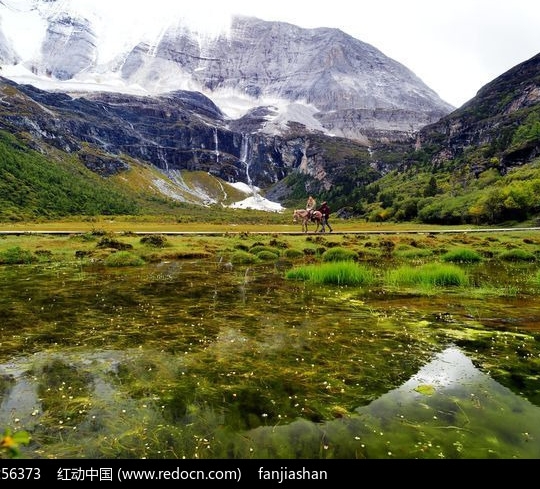 粉象生活是个什么东西