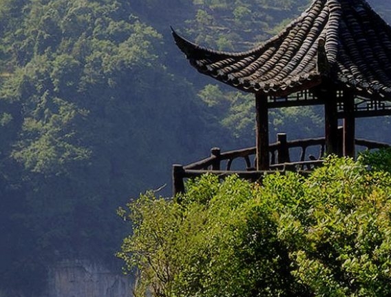 粉象生活怎么添加不了商家