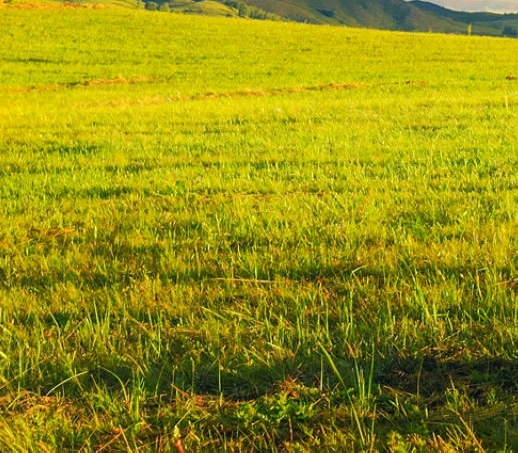 资资汽车生活馆靠谱吗