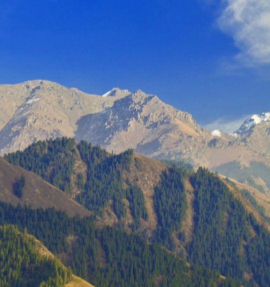 陌陌怎么取消关注