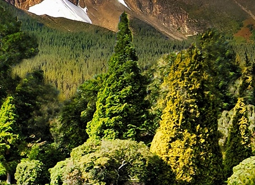 粉象生活升级后该怎样赚钱啊