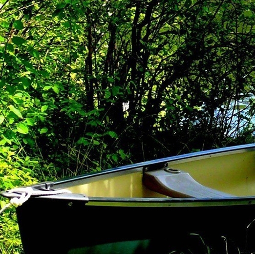 粉象生活邀请码怎么选