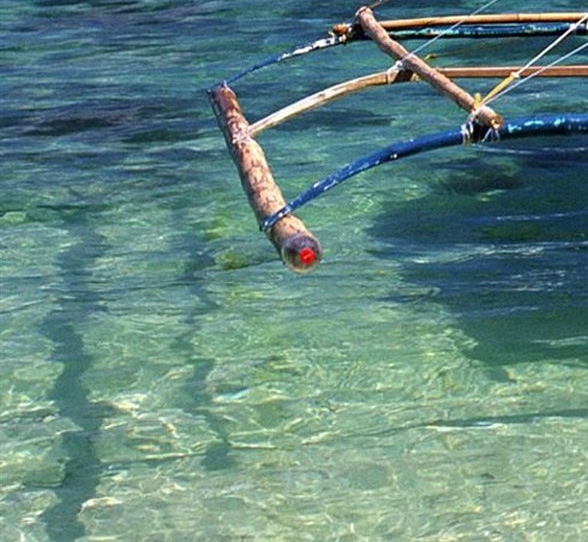 珍珠粉哪里有卖的