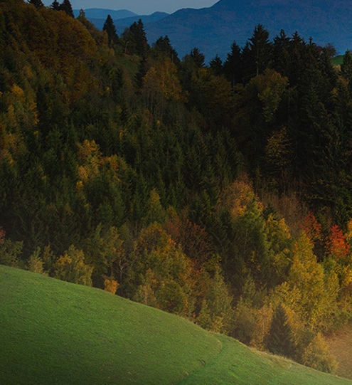 淘气生活公众号