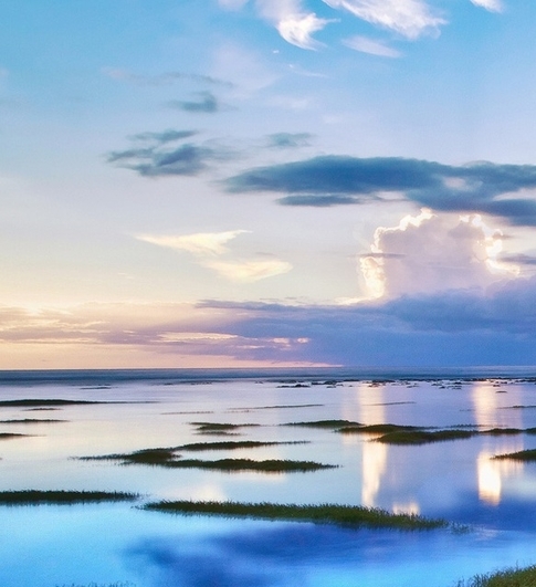 粉象生活官网首页