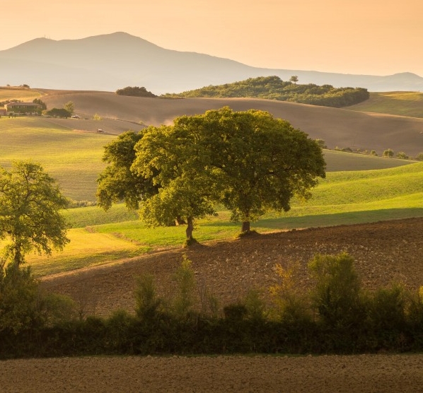粉象生活到底靠谱吗