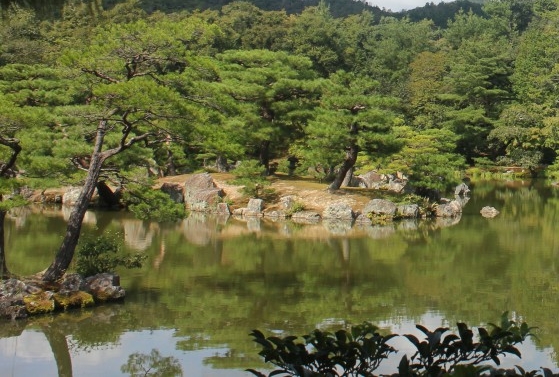 粉象生活官网首页