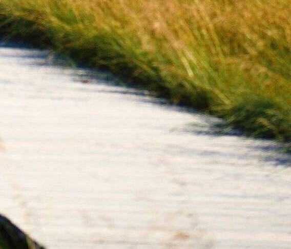 粉象生活官网首页