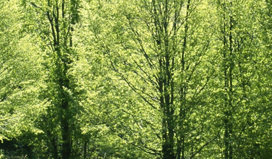 如何在头条上发布内容或视频赚钱