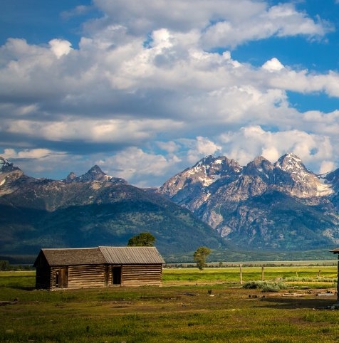 粉象生活不交钱能用吗