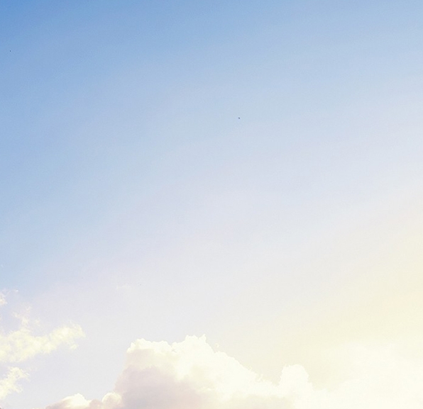 粉象生活公司简介