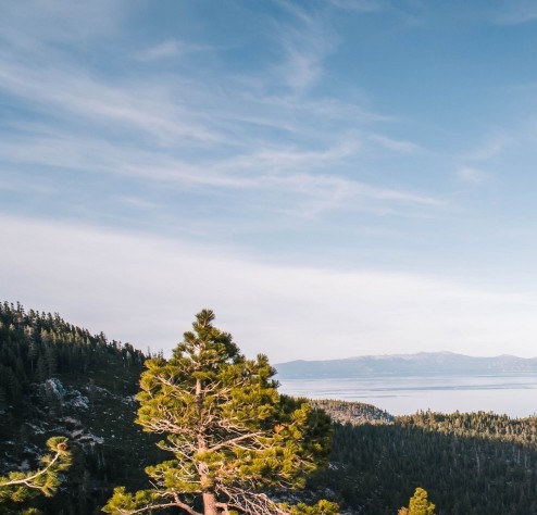 粉象生活代理怎么开