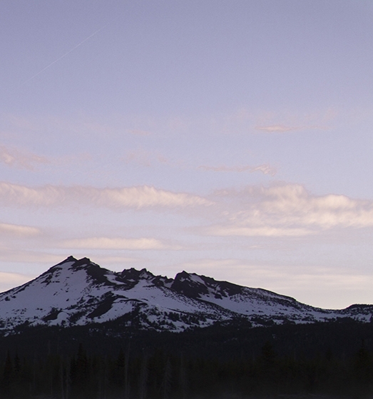 粉象生活是个什么东西