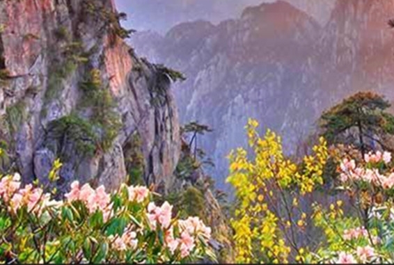 粉象生活到底靠谱吗