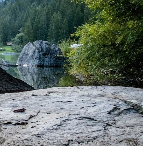 粉象生活是如何赚钱的