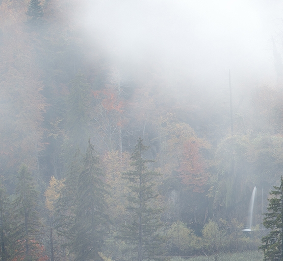 吉林高端粉象生活网站