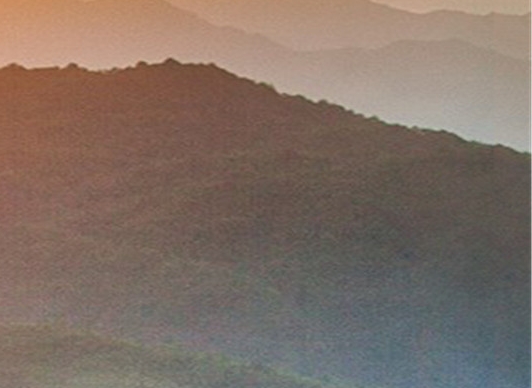 粉象生活靠什么盈利