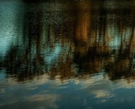 粉象生活邀0请码