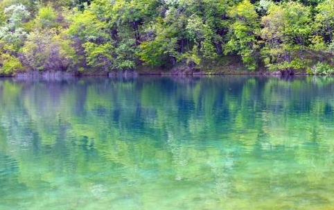 粉象生活直播在线观看