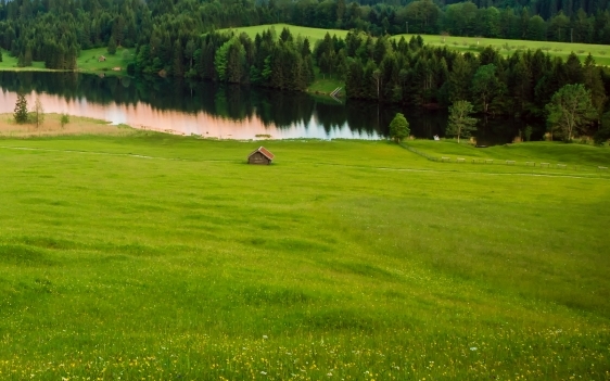 粉象生活是不是免费的