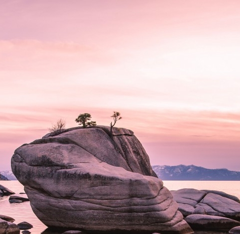 粉象生活没有隐私