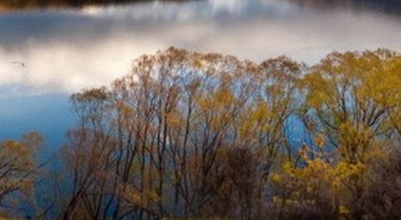 粉象生活一天几百是真是假