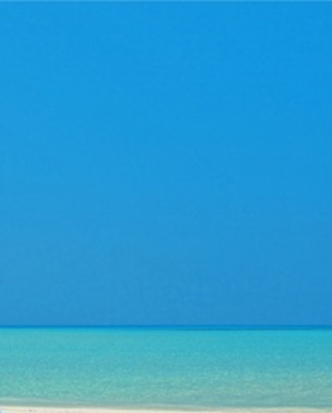 粉象生活东西是不是真的