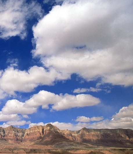 粉象生活预估怎么激活