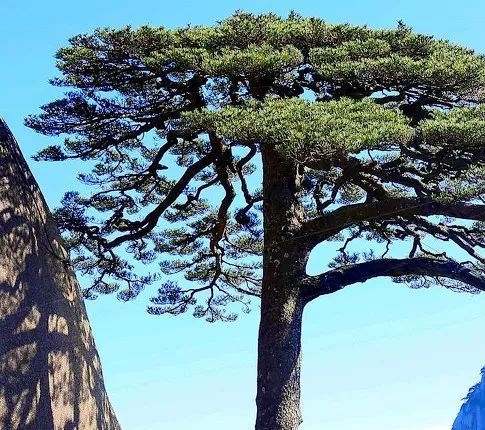 女人应该如何生活